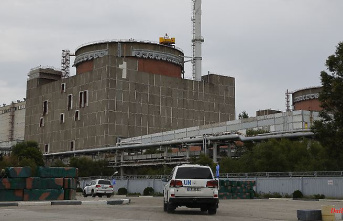 War in Ukraine: Federal agency worried about possible nuclear accident