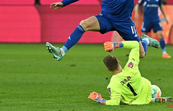 Gladbacher give up riddles: brave Schalke extend their horror series