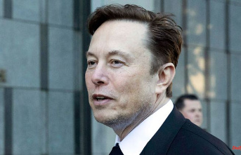 "Need more regulation": Musk wants to better monitor "dangerous" AI