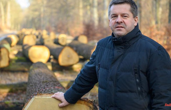 Saxony-Anhalt: Greens: Minister keeps forest fire reports under lock and key