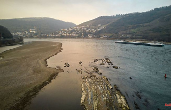 Hesse: water level in the Rhine too low for the time of year