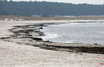 Mecklenburg-Western Pomerania: stranded barge on the Prerower beach: salvage difficult