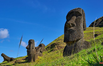 "Unique discovery": Mysterious Moai statue found on Easter Island