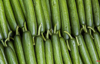 Edeka explains usurious price: cucumber for 3.29 euros causes a stir