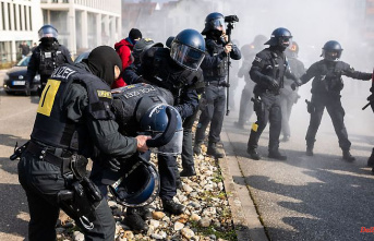 Baden-Württemberg: clashes and injuries in protest against AfD party congress