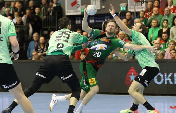 Magdeburg's handball players cheer: the champion overthrows the series winner and table leader