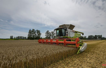 Baywa boss Klaus Josef Lutz: "The grain market in Europe is saturated"