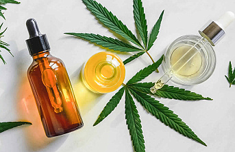 From Plant to Body: Unraveling the Fascinating Journey of CBD Consumption