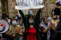 Pro-Palestinian mobilization in the United States:...