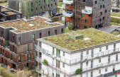 The big crawl: Green roofs surprise with biodiversity