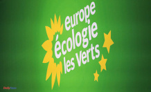 Activists of the Ecologists party adopt a reform intended to simplify the party's statutes