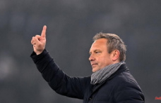 After Hoeneß was thrown out: Breitenreiter becomes the new coach in Hoffenheim
