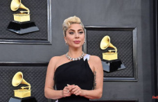Long prison sentence for 20-year-old man who kidnapped Lady Gaga's dogs