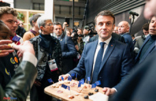 Emmanuelle Macron and her mixed board, perhaps this is a detail for you…