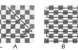 The chess of tourfou, the math enigma of “The World”...