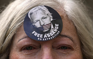 US: Assange could be sent to Australia prison if convicted