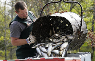 Feds declare East Coast herring fishing industry a...