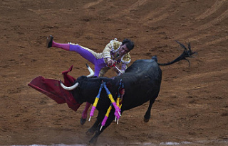 Mexico City legislators may ban bullfighting