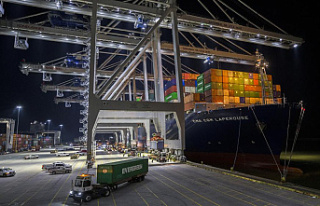Port of Savannah announces record January cargo volumes