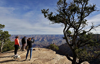 Guilty plea to man who led a large Grand Canyon hiking...