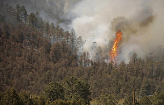 New Mexico Firefighters are helping with evacuations.