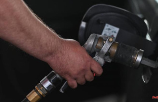 Consistently high fuel prices: ADAC: Mineral oil companies...