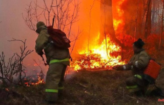 Siberia on fire: forest fires? "Russian army...