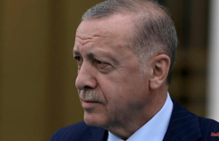 Disruptive maneuvers and US fighter jets: Why is Erdogan...