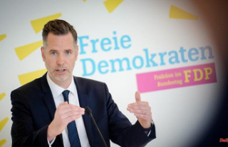 Lessons from the NRW debacle: FDP wants to push for...