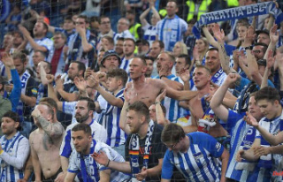 Chaos days in the Westend: Hertha misses relegation...