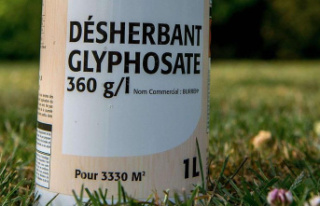 Glyphosate cans are damaged in Ariege: The mowers...