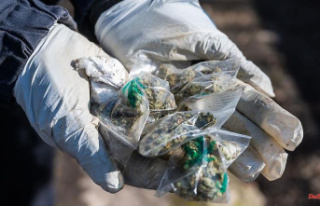 Saxony: A kilo of marijuana in the trunk: Man flees...