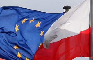 End of judicial dispute with EU?: Poland dissolves...