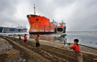 Old ships to Asia: Shipping companies are said to...