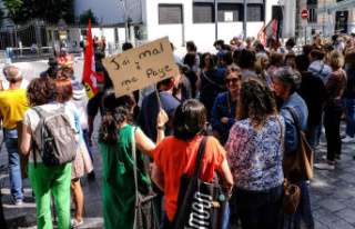 Pau: Nearly 200 medico-social workers demand an increase...