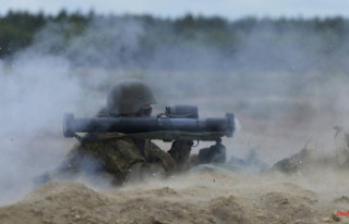 "Matador" and mines: Ukraine receives German...