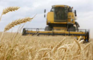 Global food security threatened by Putin's "blackmail"