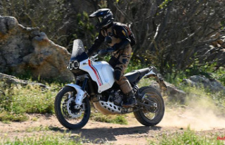 Off-road or on the road?: Ducati DesertX - at home...