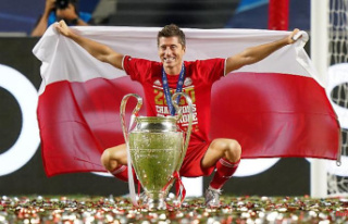 Rapid Lewandowski change ?: FC Bayern is negotiating...