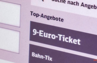 "A real hit": 2.7 million nine-euro tickets...