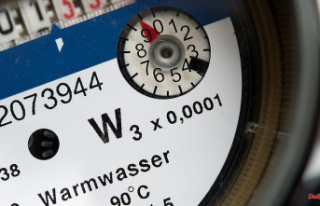 Associations warn of terminations: Energy prices could...