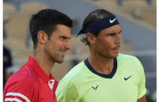 Tennis. Roland-Garros: How to view the Djokovic-Nadal...