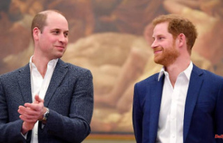 Just in time for the throne jubilee: Harry and William...