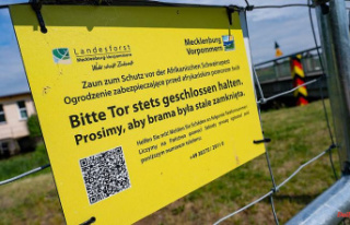 Baden-Württemberg: swine fever outbreak in the district...