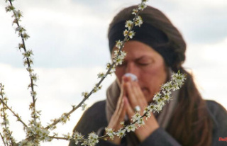 Rain cleans the air: those allergic to pollen suffer...