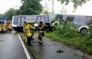 North Rhine-Westphalia: bus crashes into a tree: several...