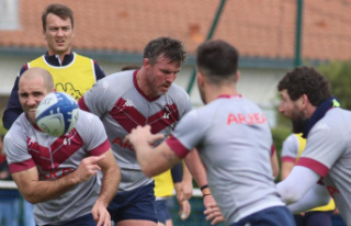 Top 14: The UBB prepares for its trip to Perpignan