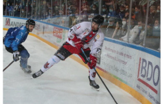 Ice Hockey Briancon: Two executives leave, and two...