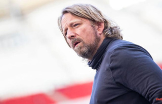 Baden-Württemberg: A lot of work for Mislintat and...