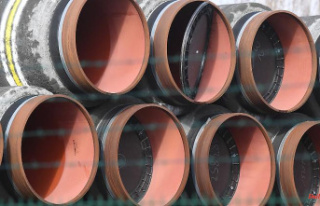 Pipes for liquid gas terminal: Is Germany expropriating...